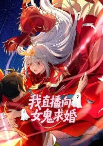 星辰影院电视免费观看 治愈动漫 云上邮差 海报